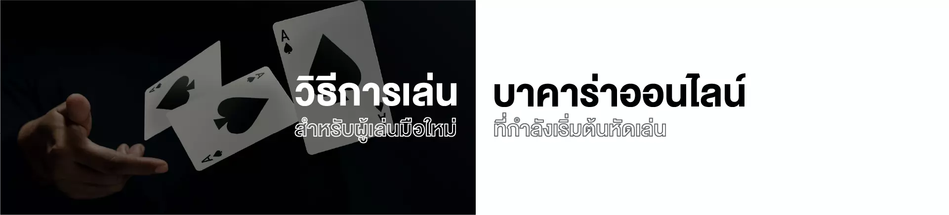 วิธีการเล่น บาคาร่าออนไลน์ สำหรับผู้เล่นใหม่